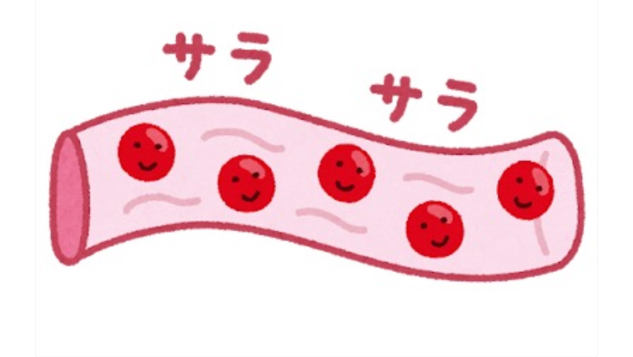 ★ゆる豆★「血管をしなやかに保つには？」